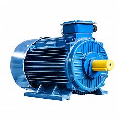 Электродвигатель 5АИ 355 MLB6 315/1000 IM1001